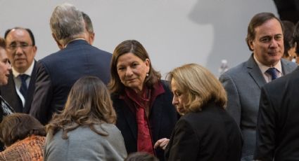 'Martha Bárcena busca protagonismo', afirma consultor jurídico de SRE