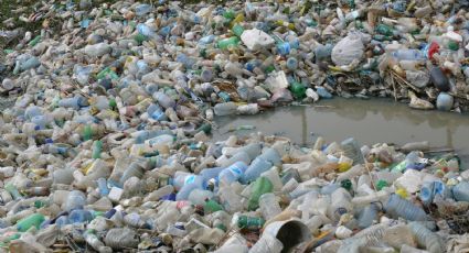 Plástico: Datos perturbadores de este material barato