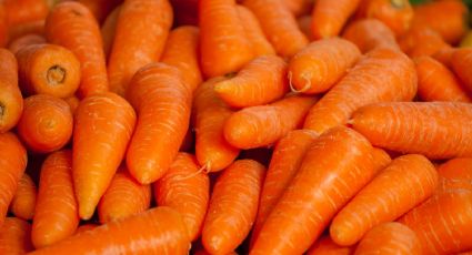 Día Mundial de la Zanahoria, conoce las bondades de este alimento