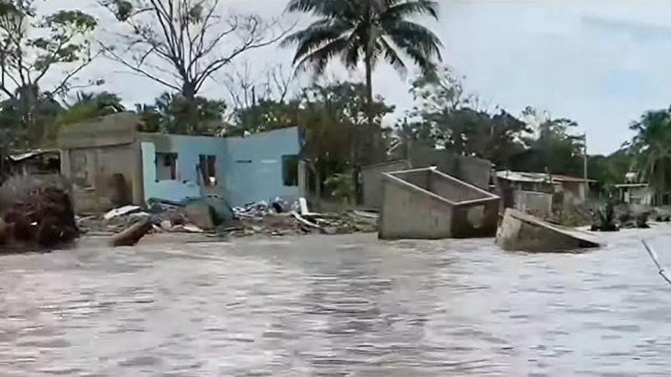 El Bosque en Centla, Tabasco.