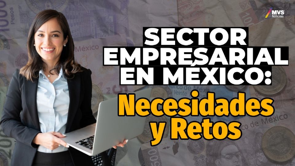 Sector empresarial: Las necesidades y retos que tiene México