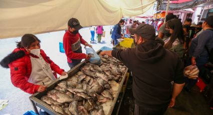 Profeco presenta la lista de los pescados a mejor precio para esta Cuaresma