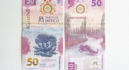 Venden billetes de 50 hasta en 350 mil pesos; estas son sus características