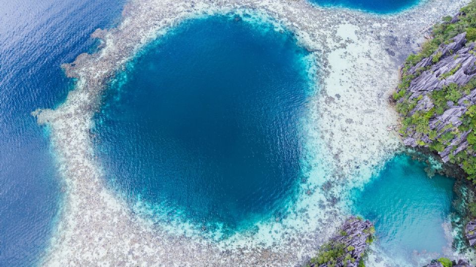 La naturaleza no deja de sorprendernos.