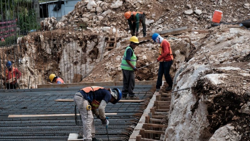 Ambientalistas exigen frenar la desmonte que se realiza con esta obra.