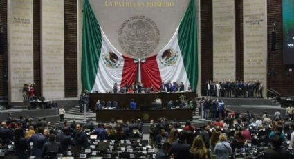 Avanza en el Congreso restricción a grasas trans en productos industrializados