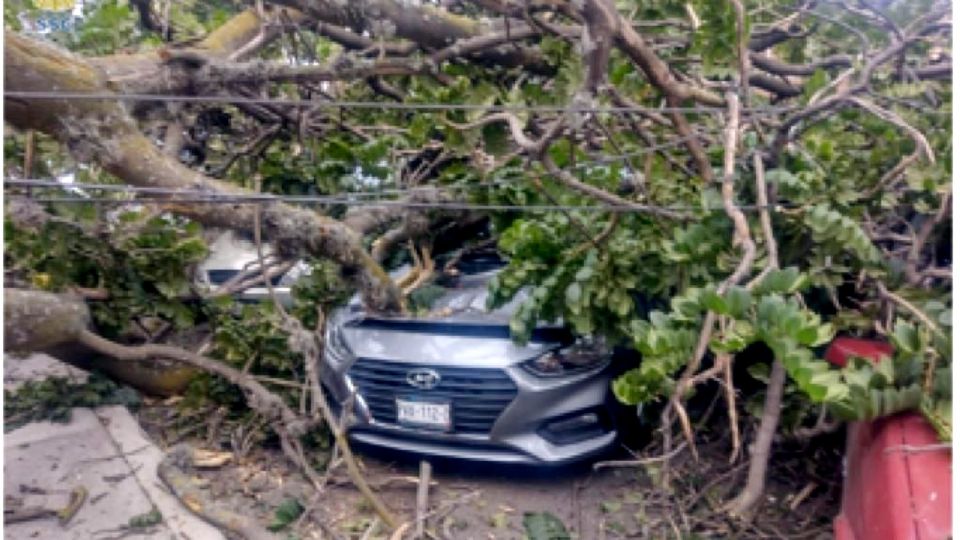 Se activó la alerta amarilla por vientos fuertes en la CDMX.