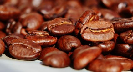 ¿Cómo elegir el mejor café en el supermercado? 3 consejos infalibles, según los expertos