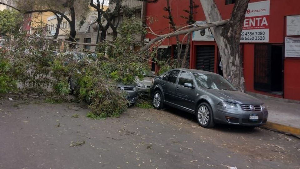 Las rachas de viento también causaron la caída de una lámina, dos lonas y una barda