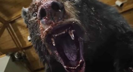 'Oso Intoxicado': 5 datos que debes conocer antes de ver la película | VIDEO