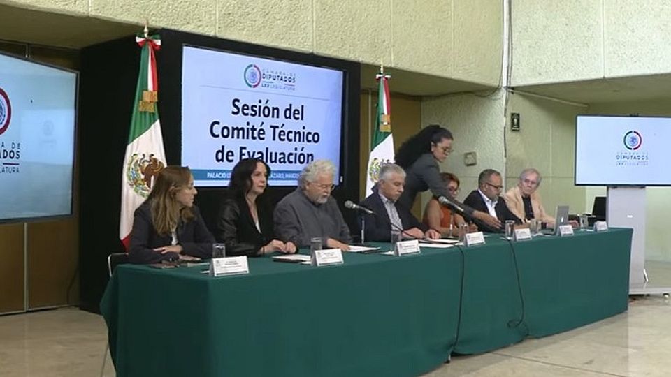 Comité Técnico de Evaluación del INE.