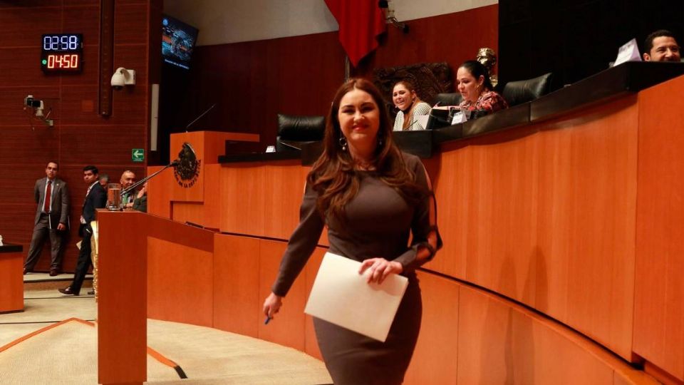 Geovanna Bañuelos, coordinadora del PT en el Senado