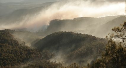 Gran incendio forestal en España quema cerca de 4 mil hectáreas