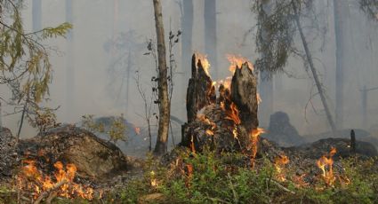 Llama Protección Civil a población a evitar incendios en zonas forestales