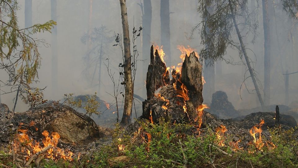 Se hace un llamado a la población para que durante los próximos días, turistas tomen las medidas necesarias para no generar incendios en sus visitas a las zonas.