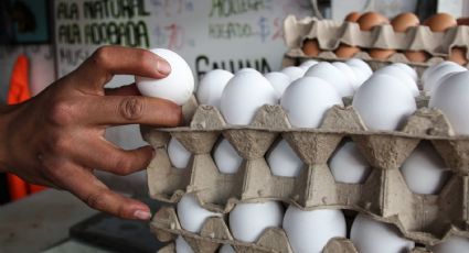 ¿Cuál es el precio del huevo en los últimos días? Esto dice Profeco