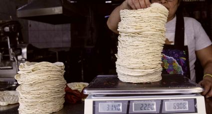 ‘Precio de tortilla bajará con dificultad por procesos ajenos a su fabricación’