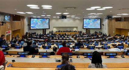 Participa Conapo en periodo de sesiones de la ONU