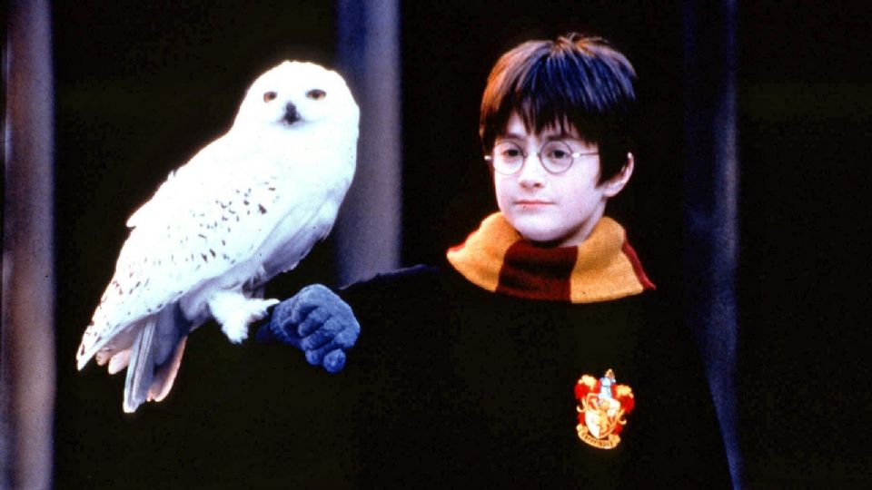 Daniel Radcliffe, actor de Harry Potter.