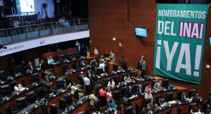 Coparmex y 14 organismos piden a Senado nombrar a comisionados del INAI