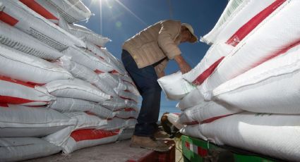 Fertilizantes para el Bienestar ha atendido al 95% de los productores del país