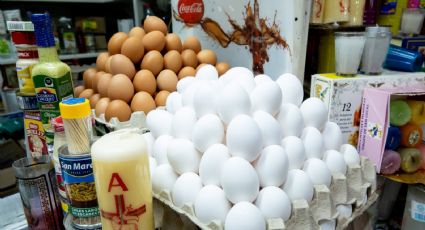 ¿Por qué se celebra el Día Mundial del Huevo?