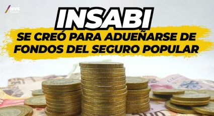 Insabi se creó para adueñarse de fondos del Seguro Popular