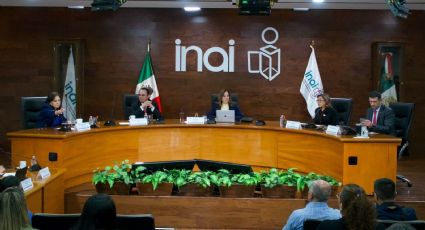 ‘Si se pierde al INAI, se pierde un pilar de la democracia’: Blanca Lilia Ibarra