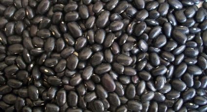 ¿Qué tan bueno es comer frijoles negros? Estas son sus propiedades