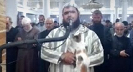 Gato irrumpe en mezquita y salta sobre hombre durante rezos del Ramadán | VIDEO