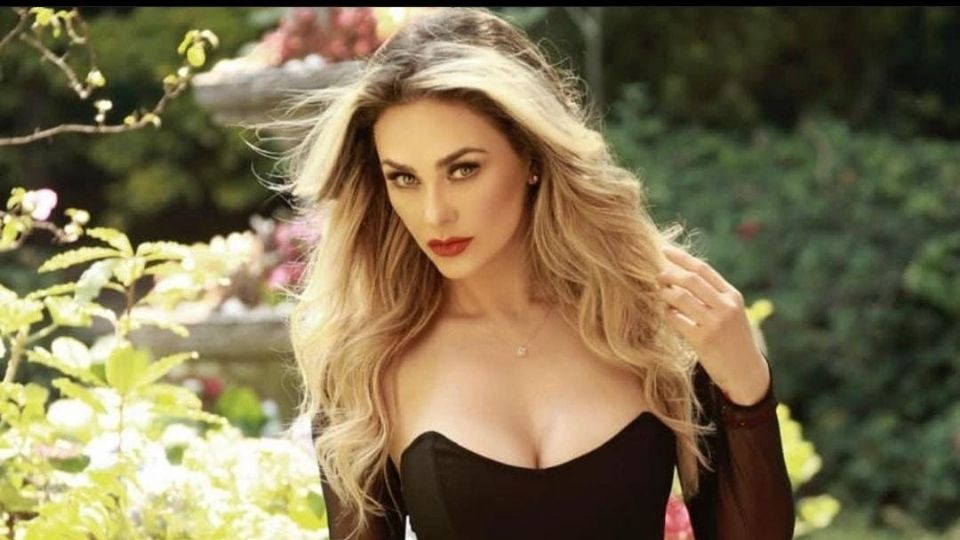 Aracely Arámbula vuelve a poner a Luis Miguel como un mal padre, pues no felicitó a su hijo en su cumpleaños.