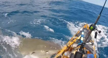 Captan momento exacto en el que un tiburón ataca a un kayakista en Hawái