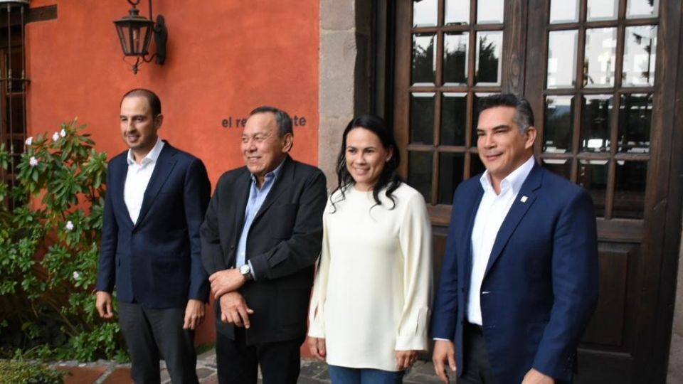 PAN, PRD y PRI respaldan a Alejandra del Moral.