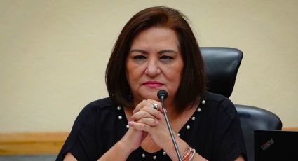 Guadalupe Taddei solicita reducción de más 59 mil pesos de su salario