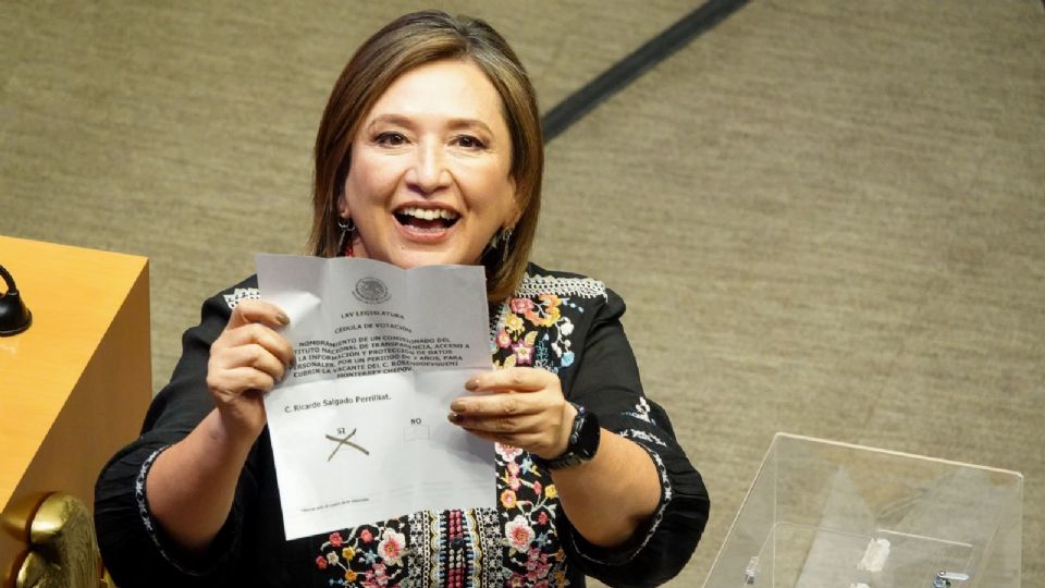 En su momento, la senadora votó por el quinto comisionado del INAI, pero no prosperó.