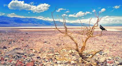 Los lagos del mundo se enfrentan a una sequía extrema: Arturo Barba