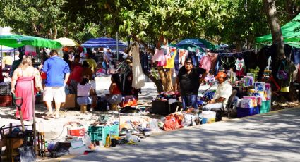 Tianguis de Las Torres: Así es el mejor lugar para comprar “cháchara” en la CDMX