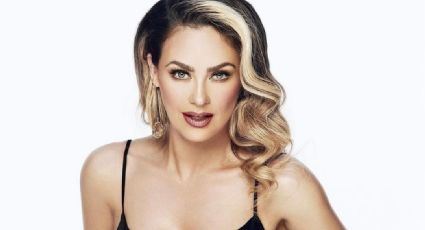 ¡Aracely Arámbula lo niega! Luis Miguel NO ve a sus hijos, a pesar de los rumores