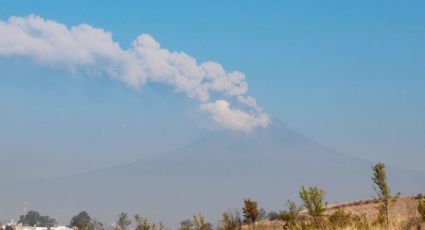 Volcán Popocatépetl: 'Flora y la fauna están siendo afectados severamente por caída de ceniza'
