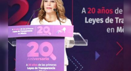 'Tenemos 3 mil 269 asuntos acumulados', Blanca Lilia Ibarra, comisionada presidenta del INAI