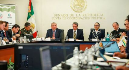 'Reunión Bicameral de Seguridad debió ser pública': Emilio Álvarez Icaza
