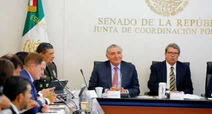 Adán Augusto generó incomodidad en Comisión Bicameral: Emilio Álvarez Icaza
