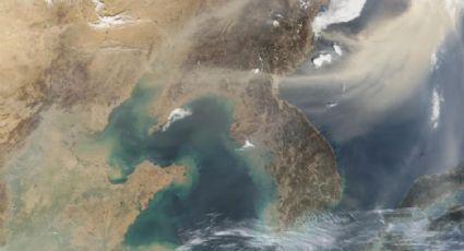 Estudio revela que polvo atmosférico nutre a los océanos
