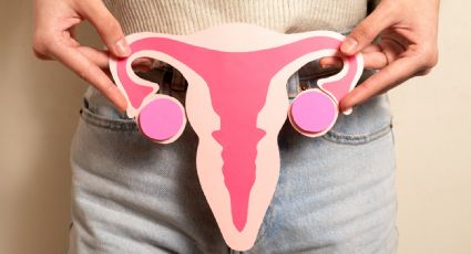 Día Mundial del Cáncer de Ovario: ¿Es posible un embarazo tras el diagnóstico de esta enfermedad? 