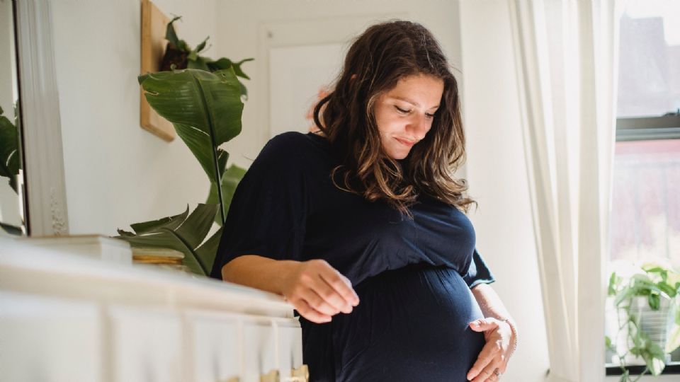 Buscarán protección para las mujeres embarazadas.