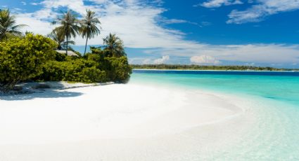 Islas paraísos para conservación