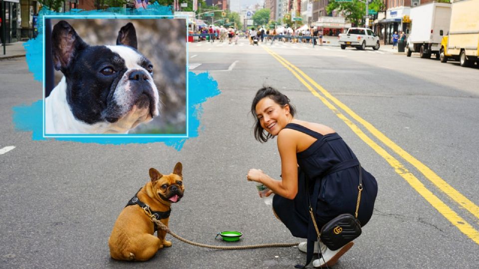 Una mujer pasea a su Bulldog francés.