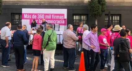 Marea Rosa entrega 'amicus curiae' en la SCJN contra plan B