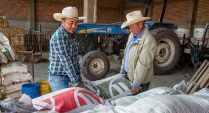 Más de 300 mil hectáreas en Guerrero son atendidas con programa de fertilizantes