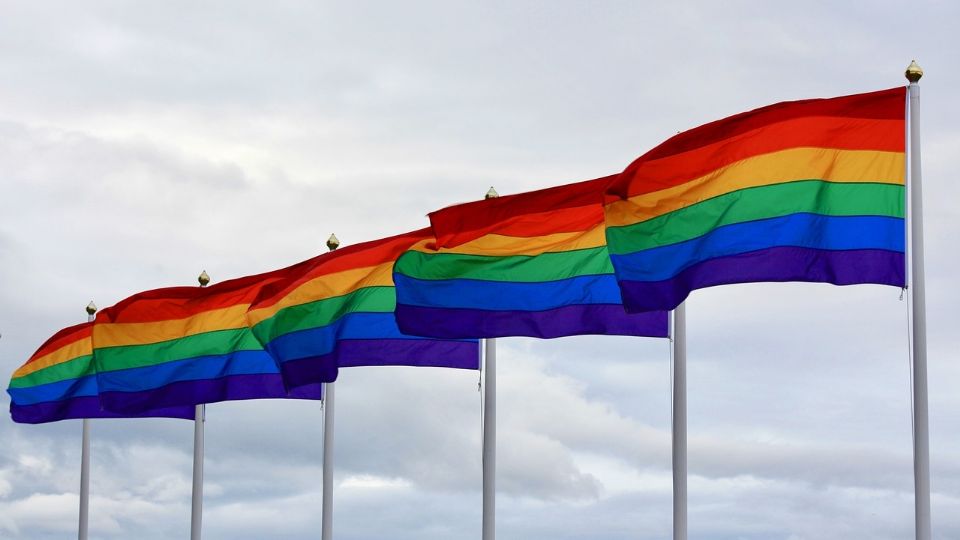 En México hay alrededor de 8 mil 719 personas privadas de la libertad que se identifican como parte de la población LGBTQ+.